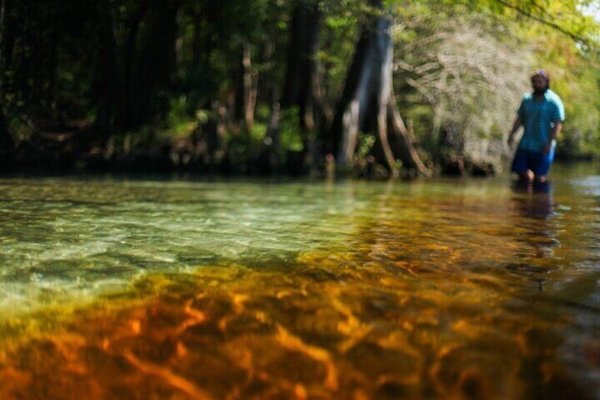 2 Hour Glass Bottom Guided Kayak Eco Tour in Gilchrist Blue 