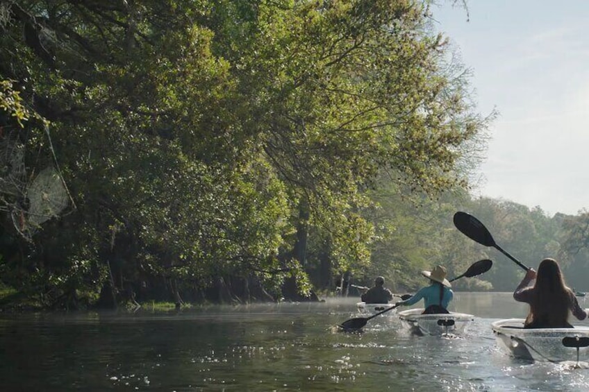 2 Hour Glass Bottom Guided Kayak Eco Tour in Gilchrist Blue