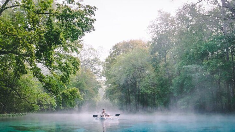 2 Hour Glass Bottom Guided Kayak Eco Tour in Gilchrist Blue
