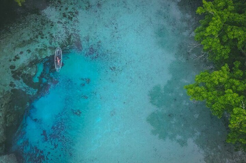 2 Hour Glass Bottom Guided Kayak Eco Tour in Gilchrist Blue 