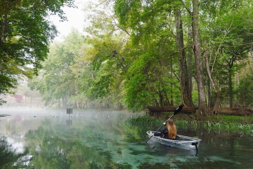 2 Hour Glass Bottom Guided Kayak Eco Tour in Gilchrist Blue 