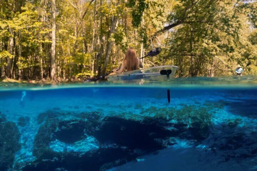 2 Hour Glass Bottom Guided Kayak Eco Tour in Gilchrist Blue