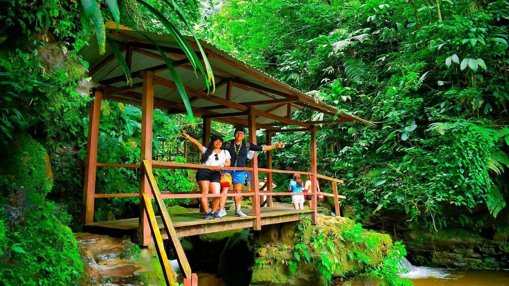 Ahuashiyacu Waterfall Half Day Tour