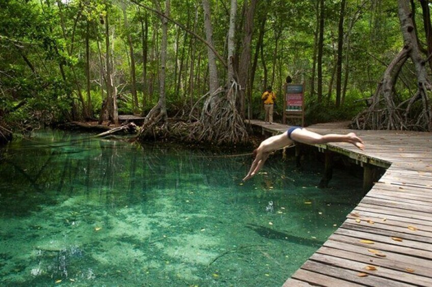 Celestun Beach and Mangrove Boat Ride from Merida