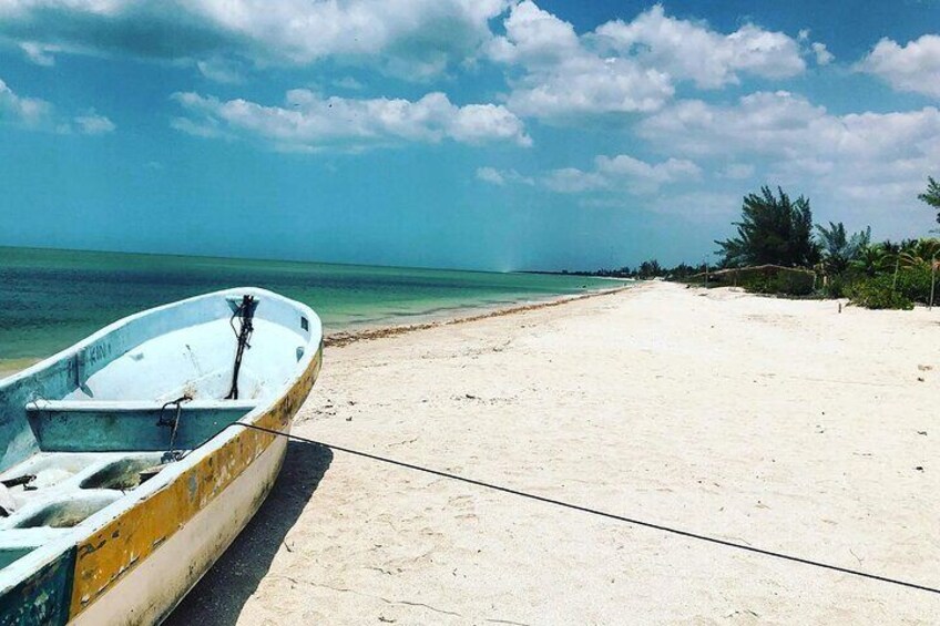 Celestun Beach and Mangrove Boat Ride from Merida