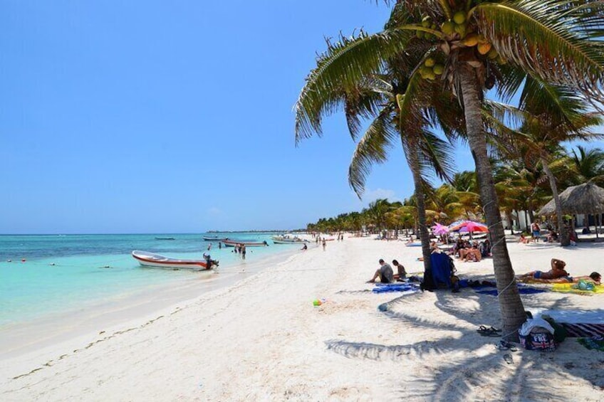 Half Day Private Snorkeling with Turtles and Majestic Cenotes