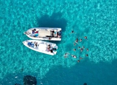 De Trapani : Favignana et Levanzo Croisière d’une journée complète