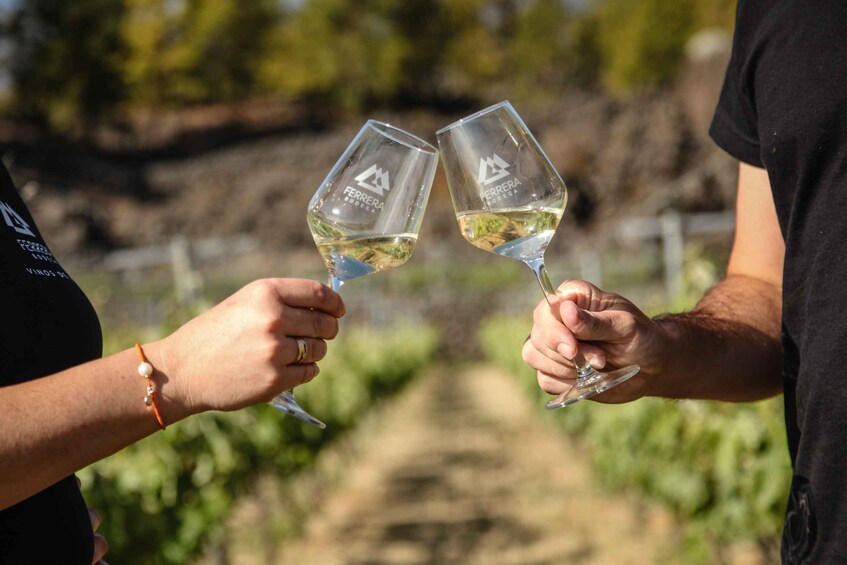 Picture 2 for Activity Tenerife: Tour of an Organic Vineyard with Tasting & Snacks