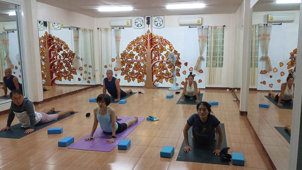 Picture 4 for Activity Chiang Mai: Full-Day Yoga & Meditation Experience with Lunch