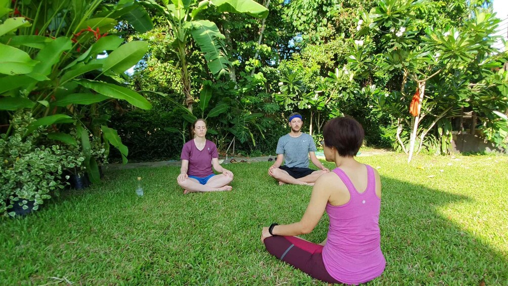 Picture 2 for Activity Chiang Mai: Full-Day Yoga & Meditation Experience with Lunch