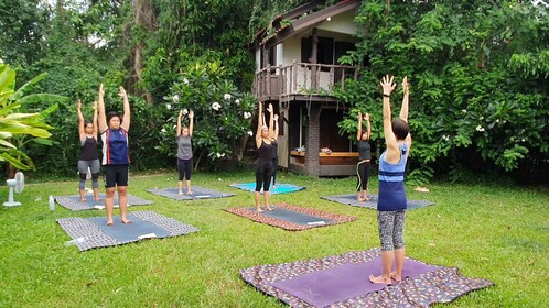 Chiang Mai Pengalaman Yoga & Meditasi Seharian Penuh dengan Makan Siang