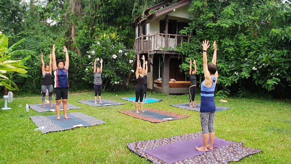 Chiang Mai: Full-Day Yoga & Meditation Experience with Lunch