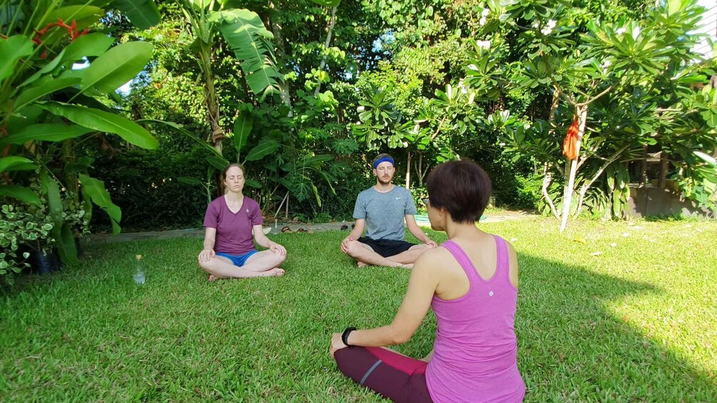 Picture 2 for Activity Chiang Mai: Full-Day Yoga & Meditation Experience with Lunch