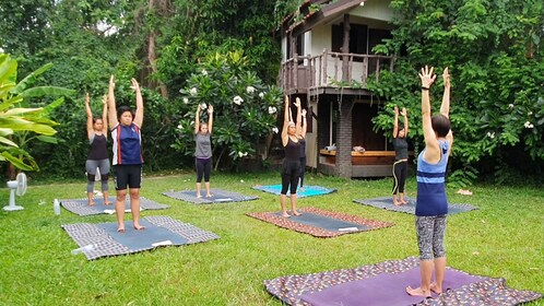 Chiang Mai: Maiang Mai: Kokopäivän jooga- ja meditaatiokokemus lounaalla