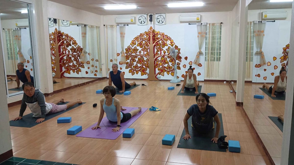 Picture 4 for Activity Chiang Mai: Full-Day Yoga & Meditation Experience with Lunch