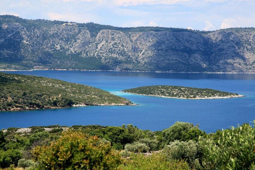 Picture 3 for Activity From Samos: Half-Day Kasonisi Boat Trip