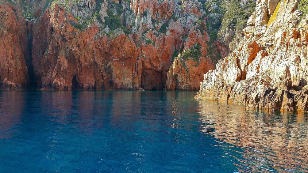 Picture 4 for Activity From Porto: Piana Creeks, Scandola on Family Boat