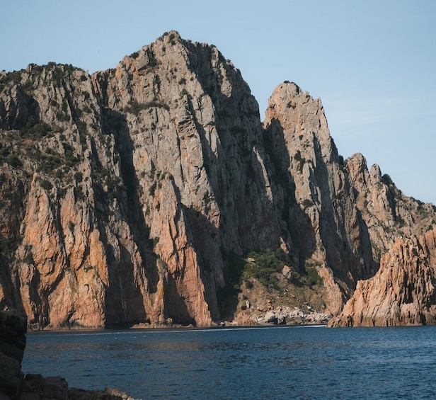 Picture 5 for Activity From Porto: Piana Creeks, Scandola on Family Boat