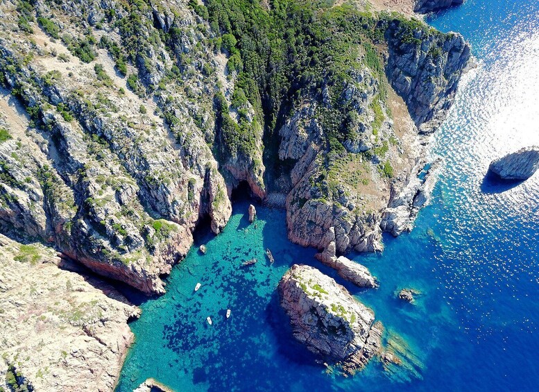 Picture 3 for Activity From Porto: Piana Creeks, Scandola on Family Boat