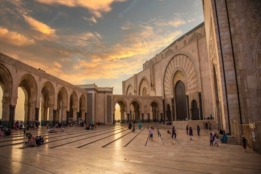 Picture 2 for Activity Hassan II mosque guided Tour entry tickets included