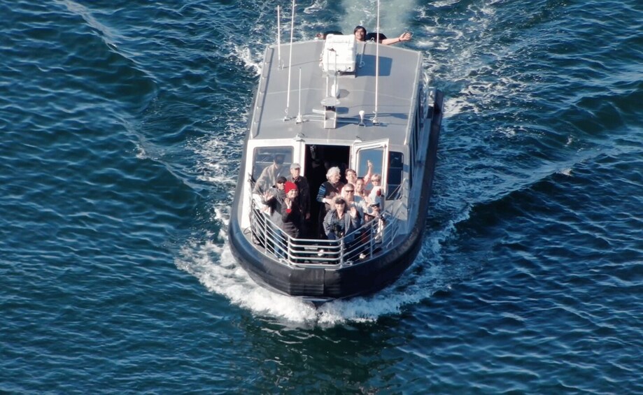 Picture 9 for Activity Hoonah: Icy Strait Whale Watch with Drone Filmography