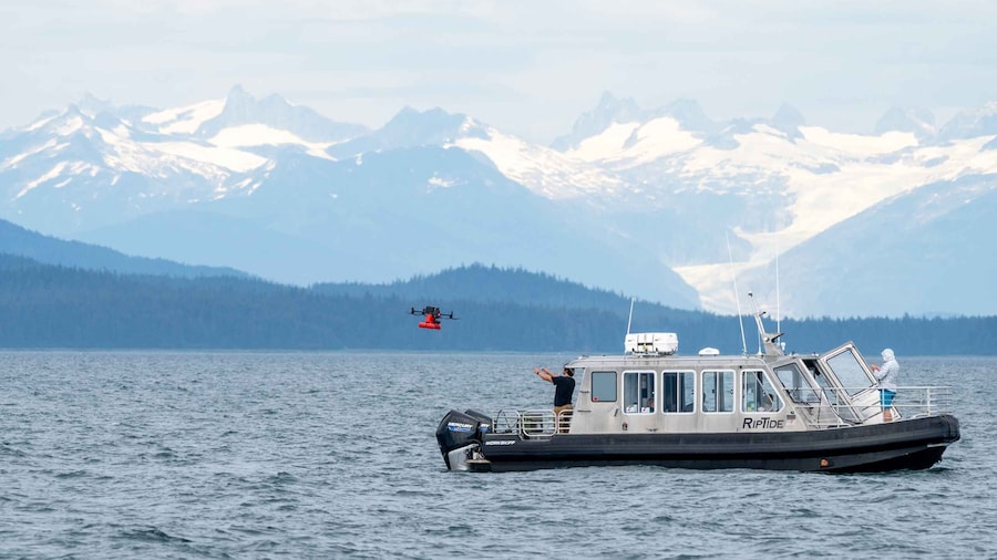 Hoonah: Icy Strait Whale Watch with Drone Filmography