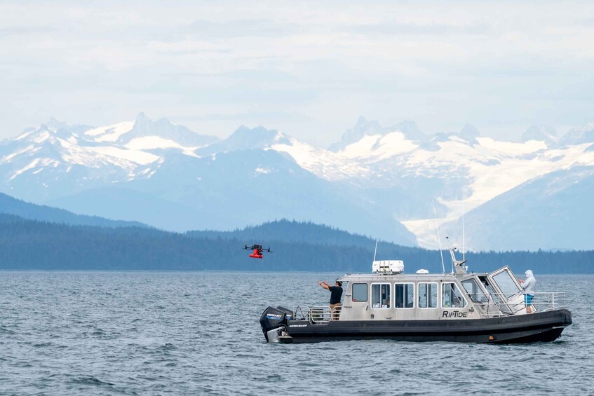 Hoonah: Icy Strait Whale Watch with Drone Filmography