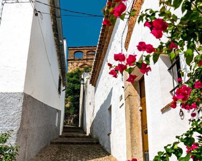 Picture 3 for Activity Caceres: City Highlights Private Guided Walking Tour