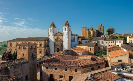 Caceres: City Highlights Private Guided Walking Tour