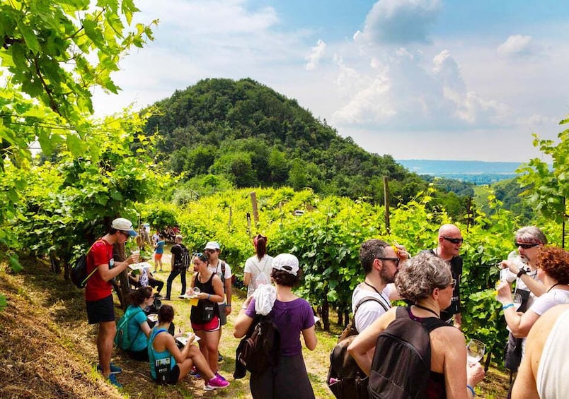 Picture 5 for Activity From Veneto: Rive Vive UNESCO Wine and Food Tasting