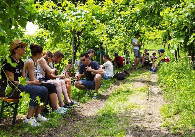 Picture 6 for Activity From Veneto: Rive Vive UNESCO Wine and Food Tasting