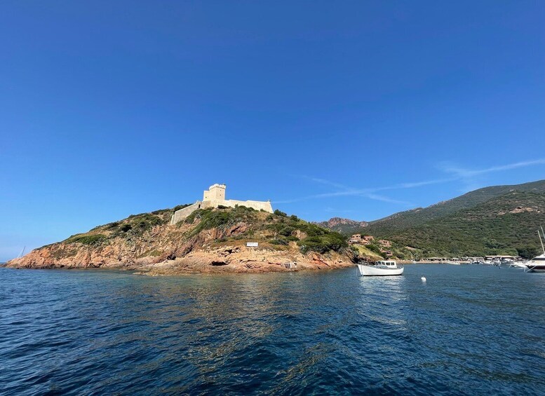 Picture 2 for Activity From Sagone: Corsica Full-Day Cruise & Girolata Village