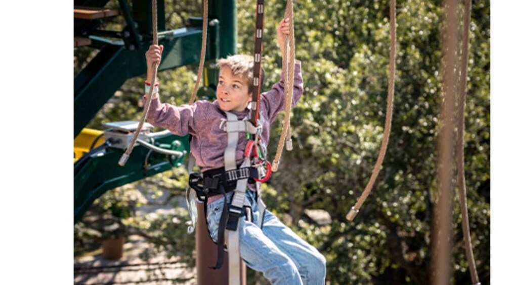 Picture 2 for Activity San Antonio: Twisted Trails Zip Rails, Ropes & Climbing Wall