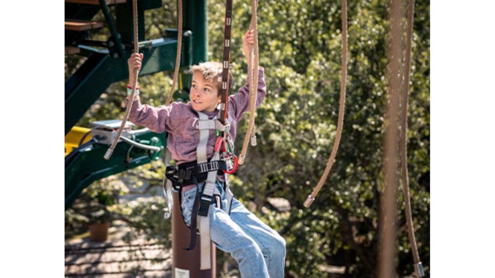 Picture 2 for Activity San Antonio: Twisted Trails Zip Rails, Ropes & Climbing Wall