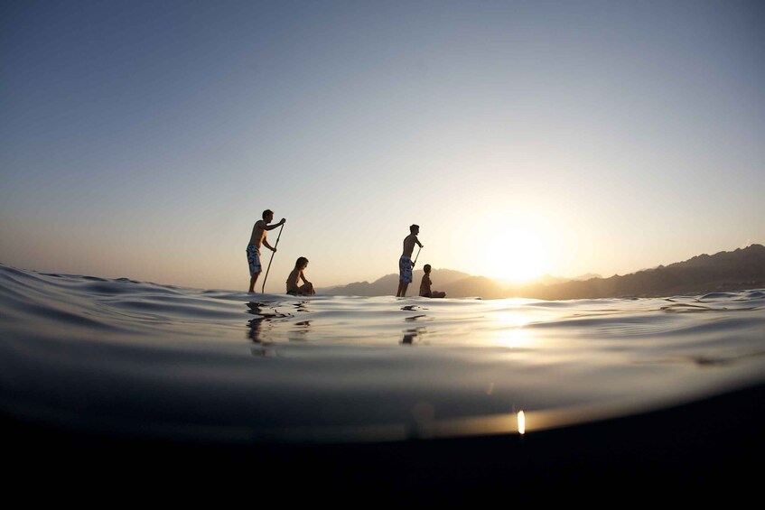 Picture 2 for Activity SUP beginners course including tour