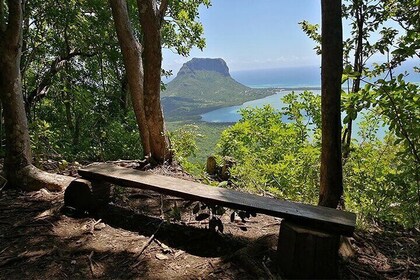 A Day of Exploration at Ebony Forest