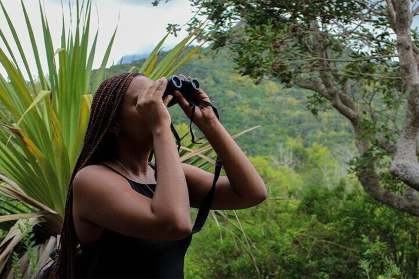 A Day at Ebony Forest