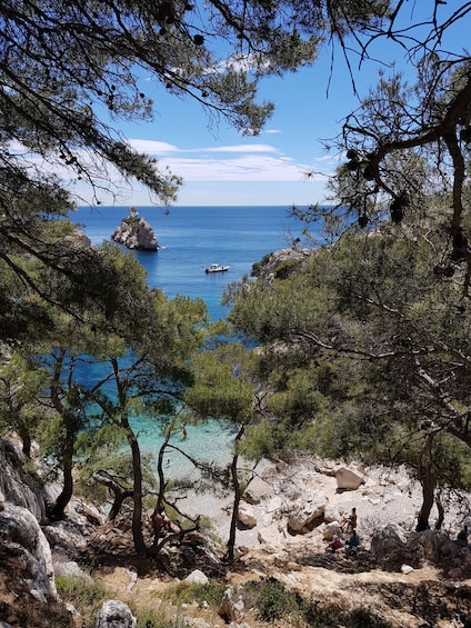 Picture 6 for Activity Calanques National Park: 6-Hour Hike