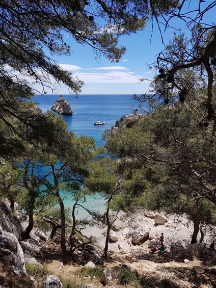 Picture 6 for Activity Calanques National Park: 6-Hour Hike