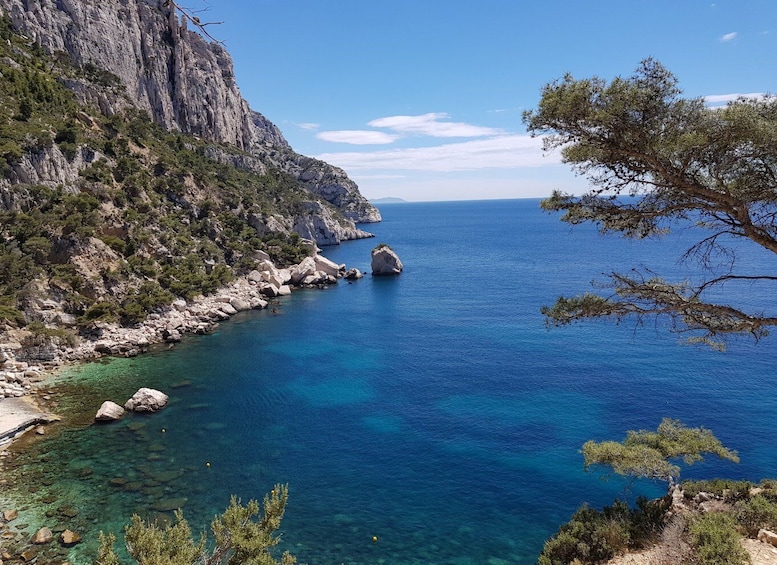 Picture 6 for Activity Calanques National Park: 6-Hour Hike