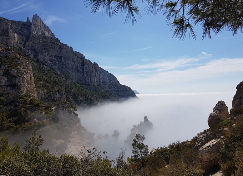 Picture 2 for Activity Calanques National Park: 6-Hour Hike