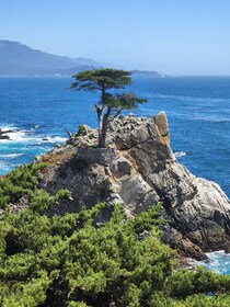 Desde San Francisco: recorrido privado por Monterrey con Pebble Beach