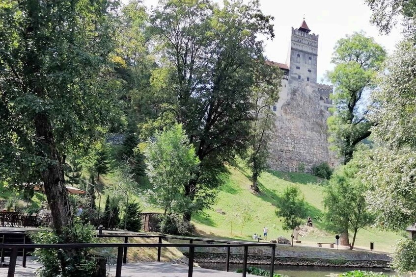 Picture 4 for Activity From Bucharest: Dracula's Castle & Bear Sanctuary Adventure