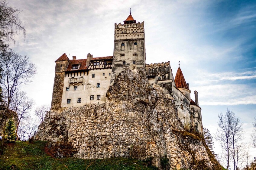 Picture 6 for Activity From Bucharest: Dracula's Castle & Bear Sanctuary Adventure