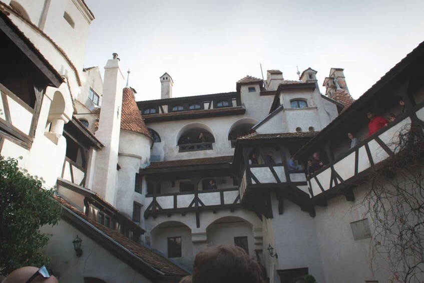 Picture 15 for Activity From Bucharest: Dracula's Castle & Bear Sanctuary Adventure