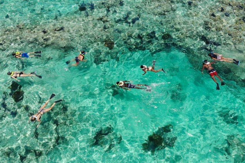 Miami: Key West Day Trip with Snorkeling & Open Bar