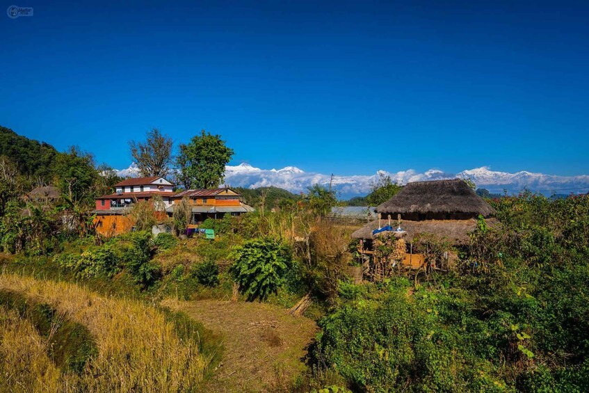 Picture 2 for Activity From Kathmandu: 12-Day Millennium Trek & Homestay Experience