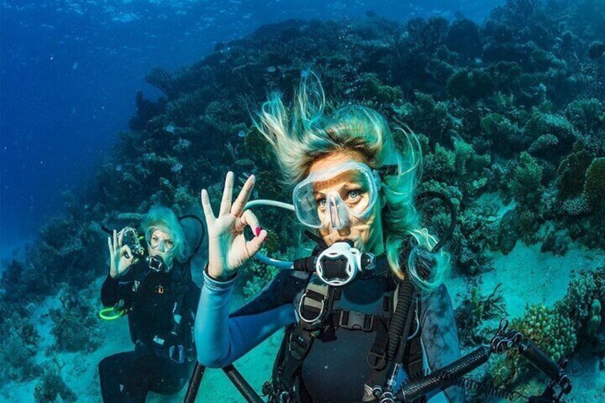 Belek Scuba Diving Experience (2 Dives) With Lunch