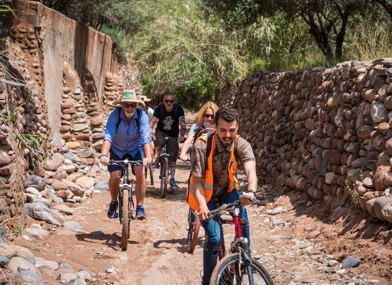 Picture 5 for Activity Marrakech: Cycling Tour in Palm Groove with Local Breakfast