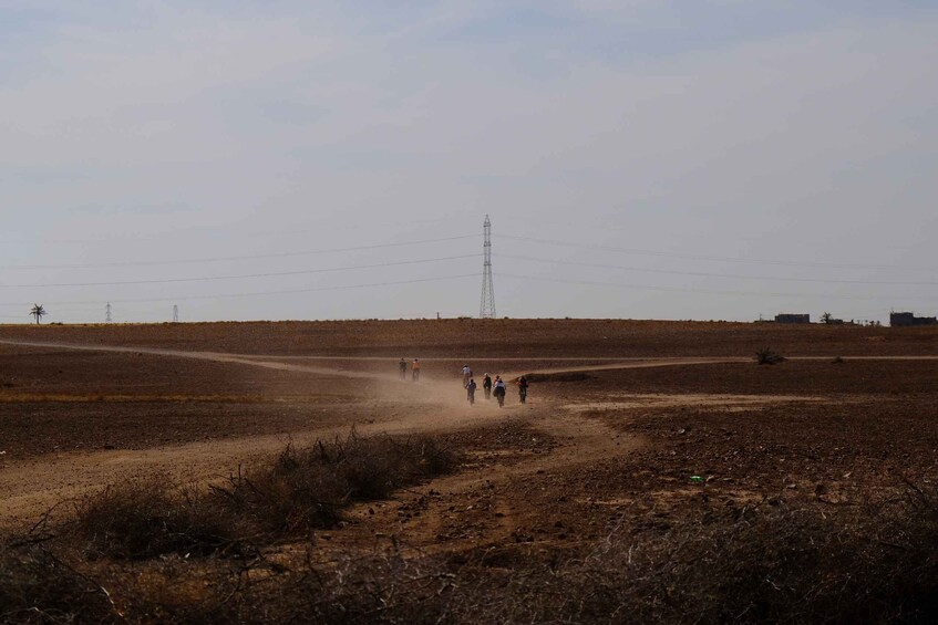 Picture 3 for Activity Marrakech: Cycling Tour in Palm Groove with Local Breakfast